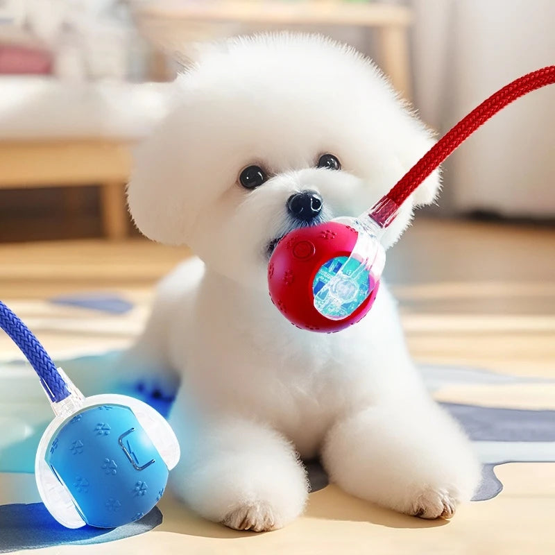 Boujee Interactive Rolling Ball