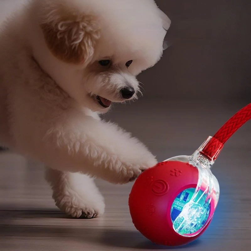 Boujee Interactive Rolling Ball