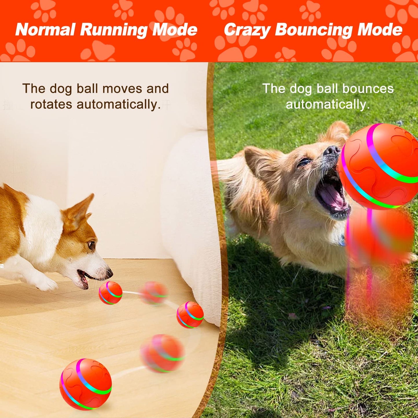Boujee Gravity Bounce Ball