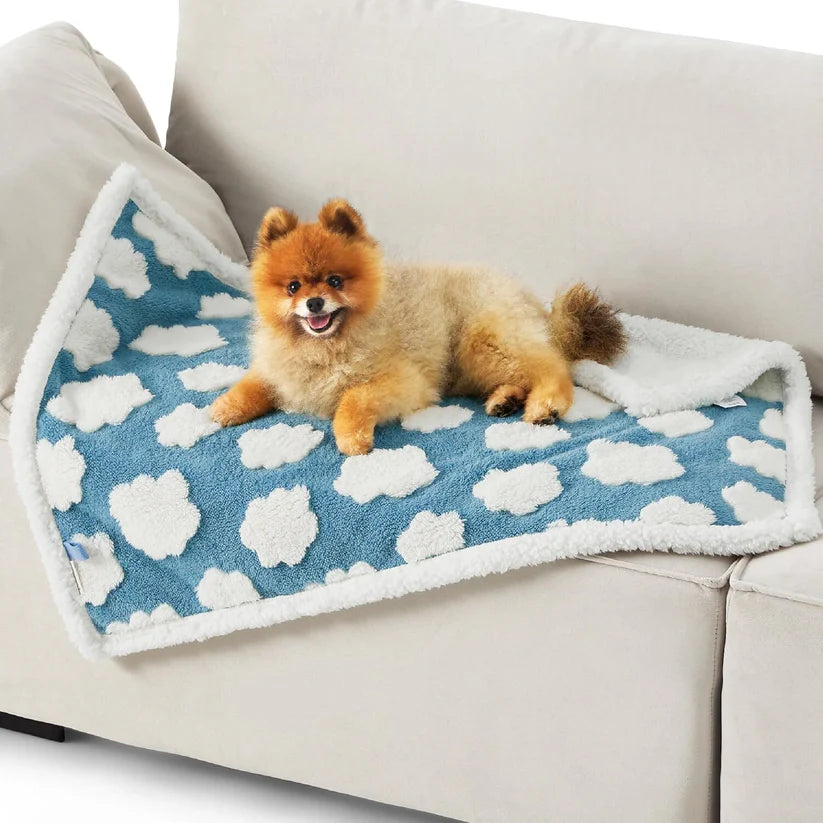 Boujee Waterproof Blanket for Dogs/ Cats