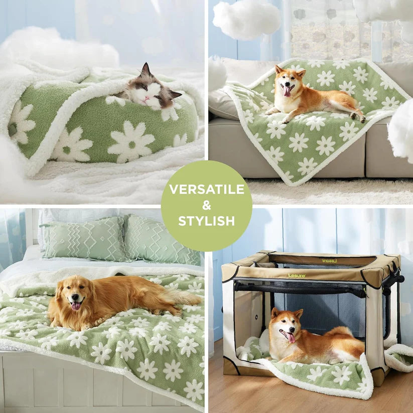 Boujee Waterproof Blanket for Dogs/ Cats