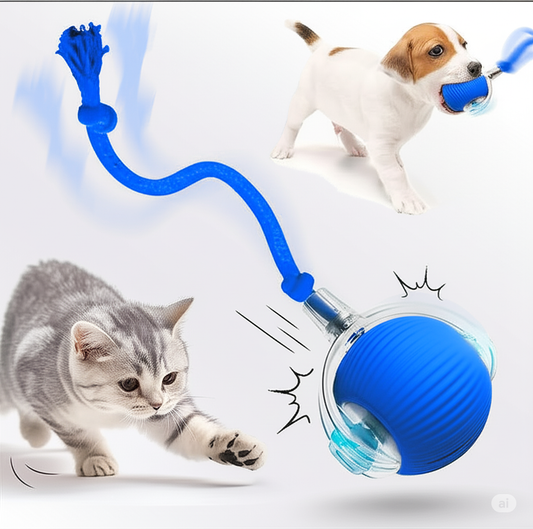 Boujee Interactive Rolling Ball