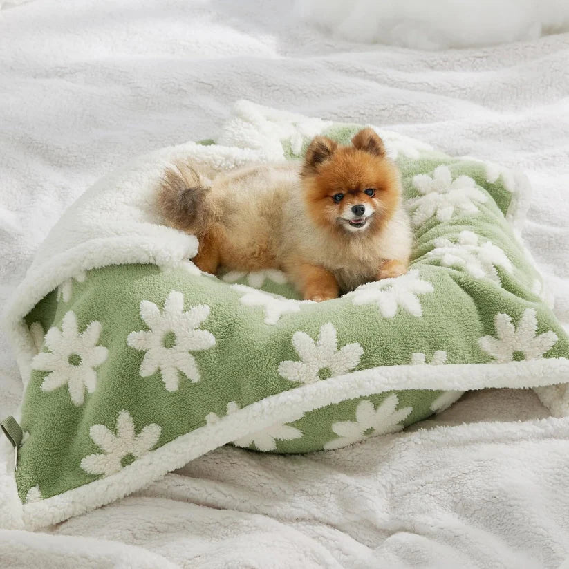 Boujee Waterproof Blanket for Dogs/ Cats