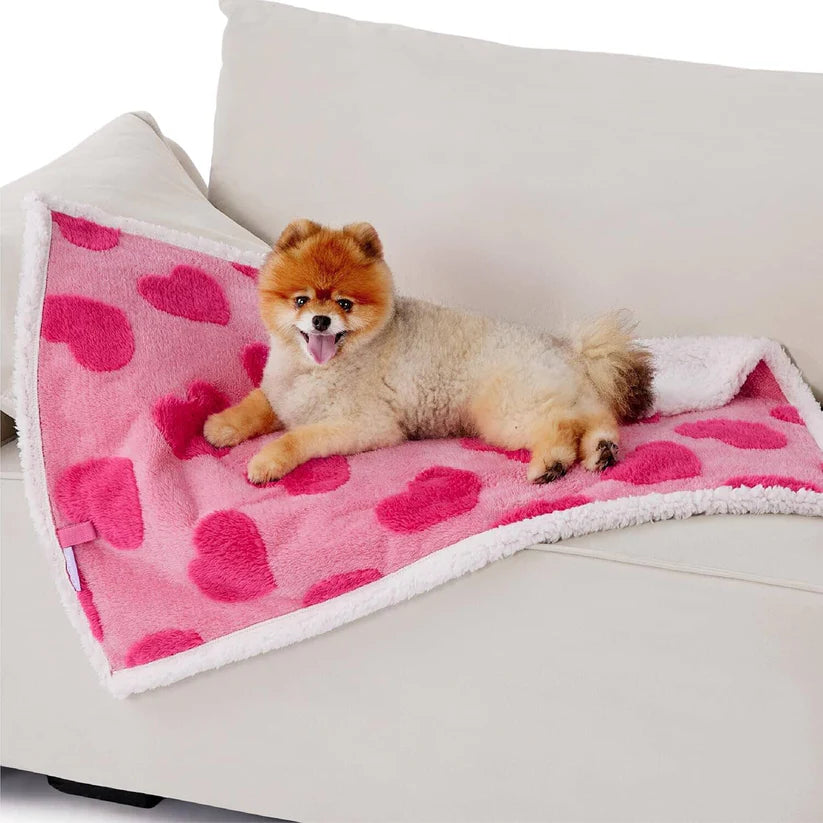 Boujee Waterproof Blanket for Dogs/ Cats