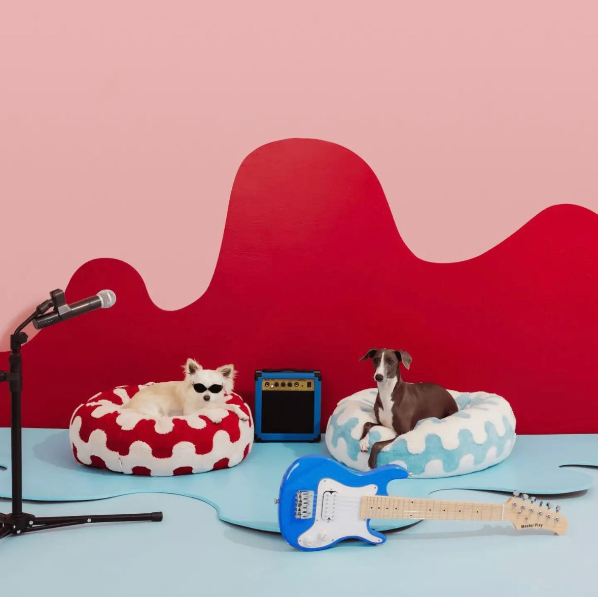Boujee Donut Calming Bed