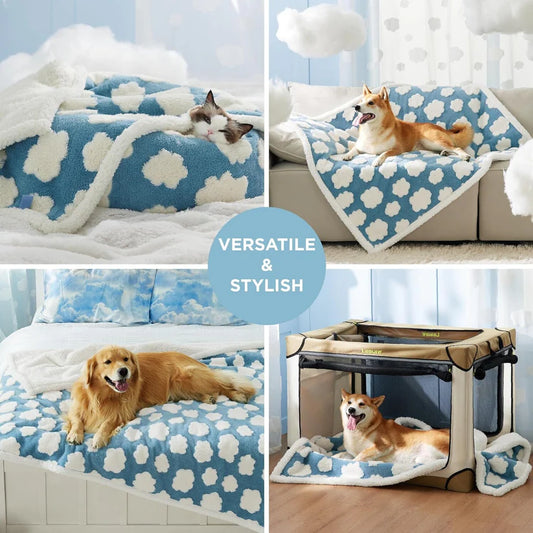 Boujee Waterproof Blanket for Dogs/ Cats