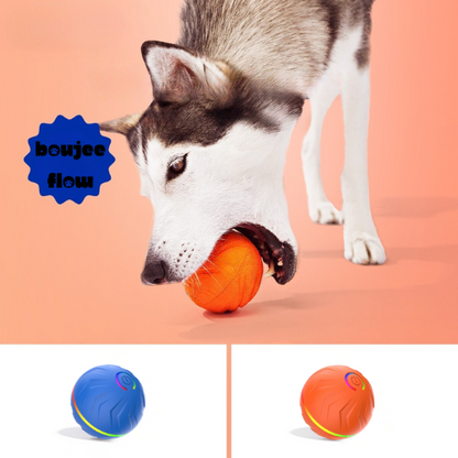 Boujee Gravity Bounce Ball
