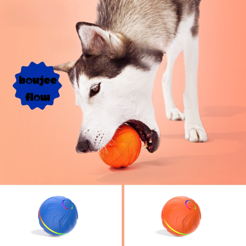 Boujee Gravity Bounce Ball
