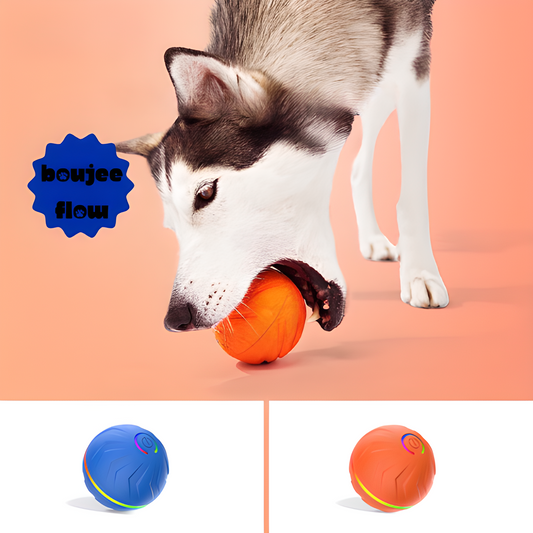 Boujee Gravity Bounce Ball