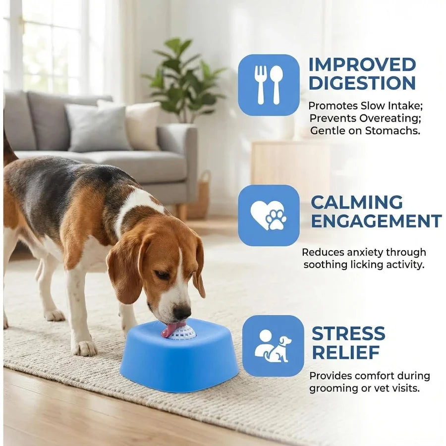 The Boujeeflow™ Liquid Lick Bowl